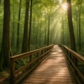 7 Scenic Trails & Outdoor Spots to Explore in Columbia, SC